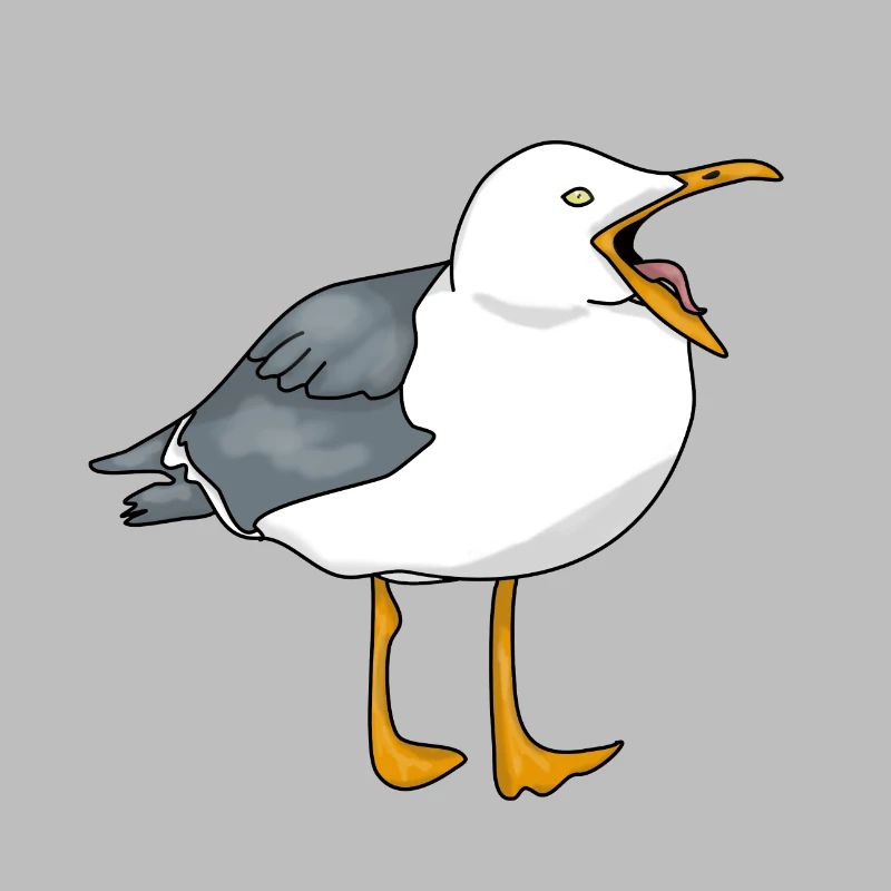Möwe - Seagull