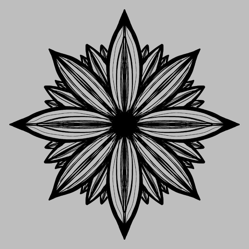Daisy flower