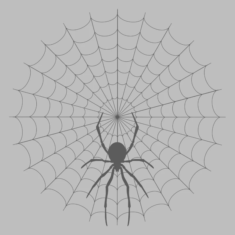Spider Web Silhouette