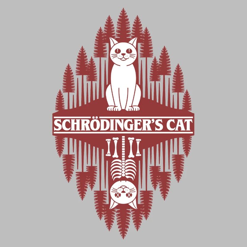 Le chat de Schroedinger : une chose étrange