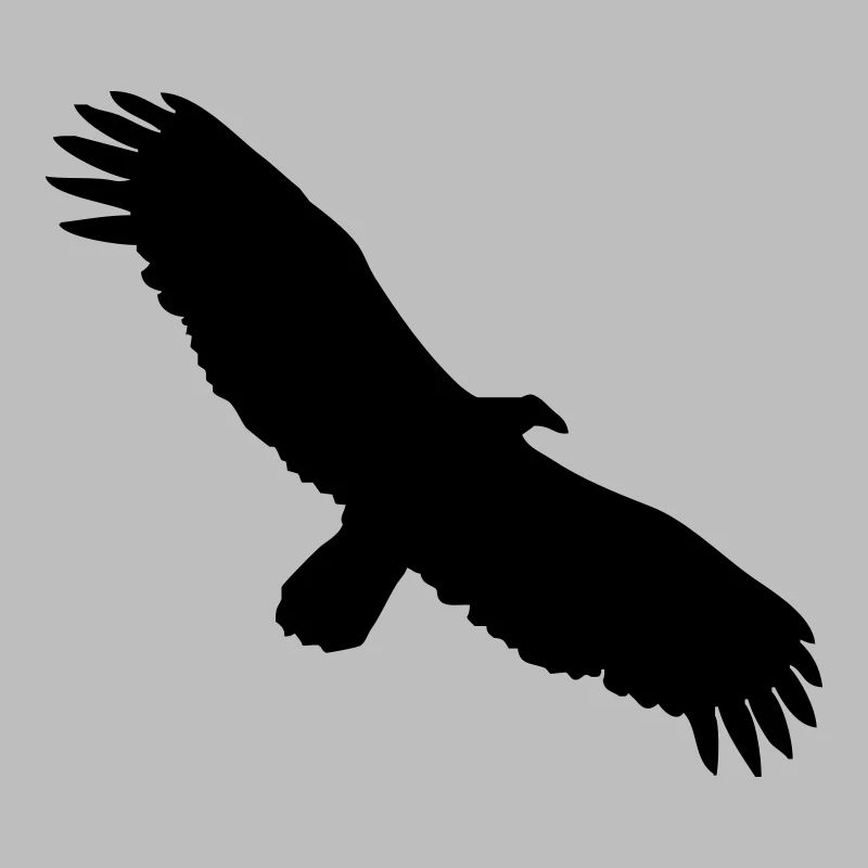 Condor