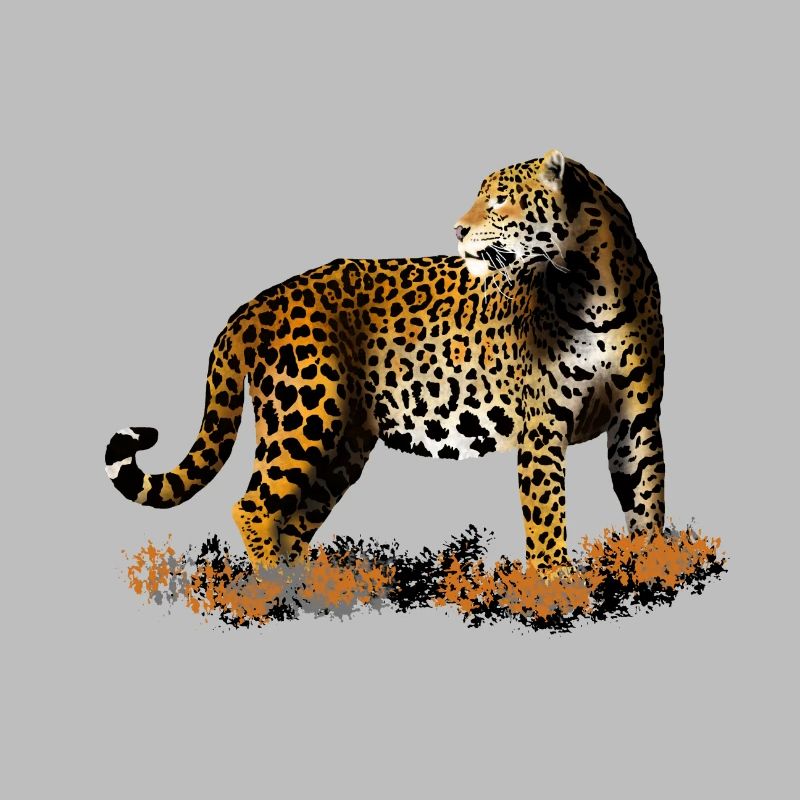 leopard