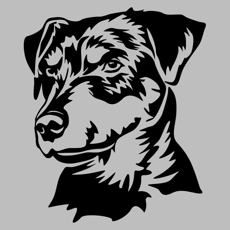 Deutscher Jagdterrier Kopf