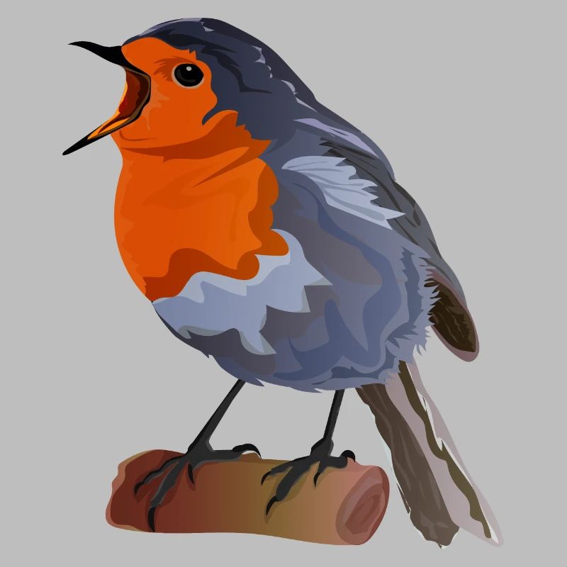 Robin Bird Illustration on Textile