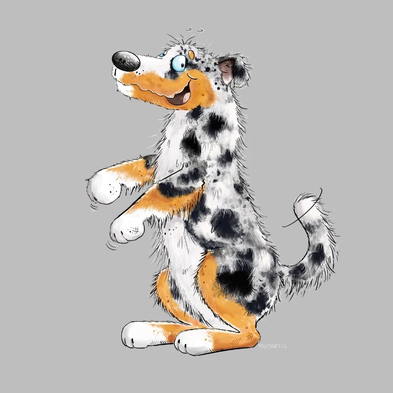 Funny Australian Shepherd
