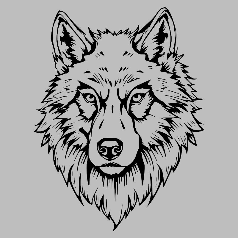 schwarzer Wolf Kopf Gesicht 