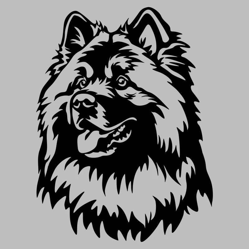 Eurasier Kopf