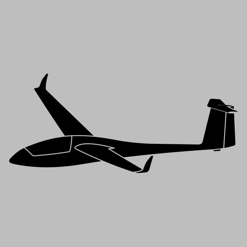 std cirrus with winglets