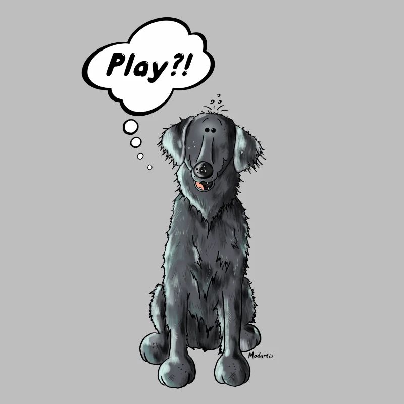 Flat Coated Retriever Play