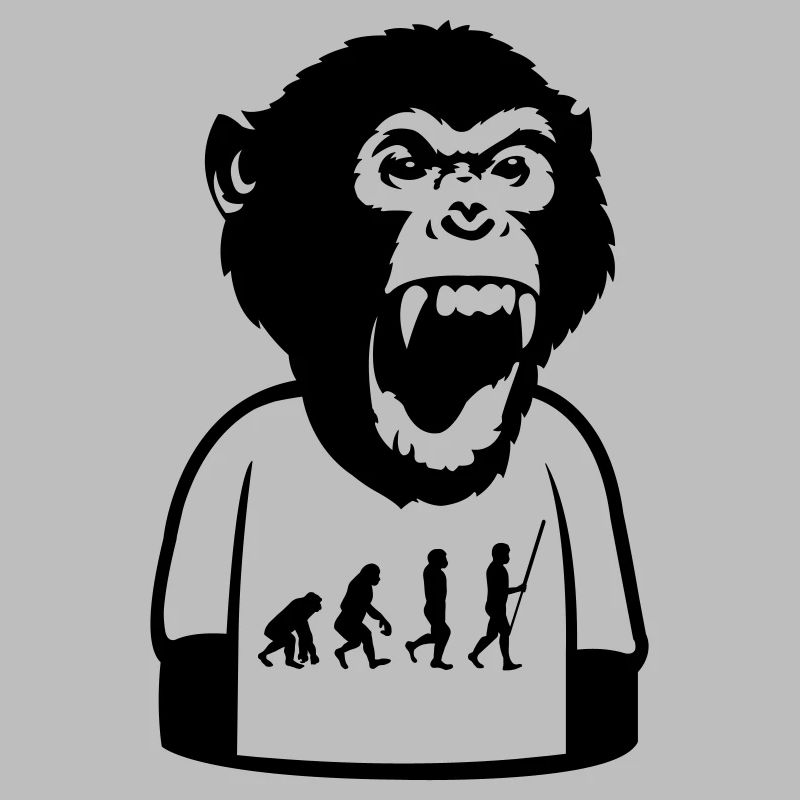 Affe Evolution