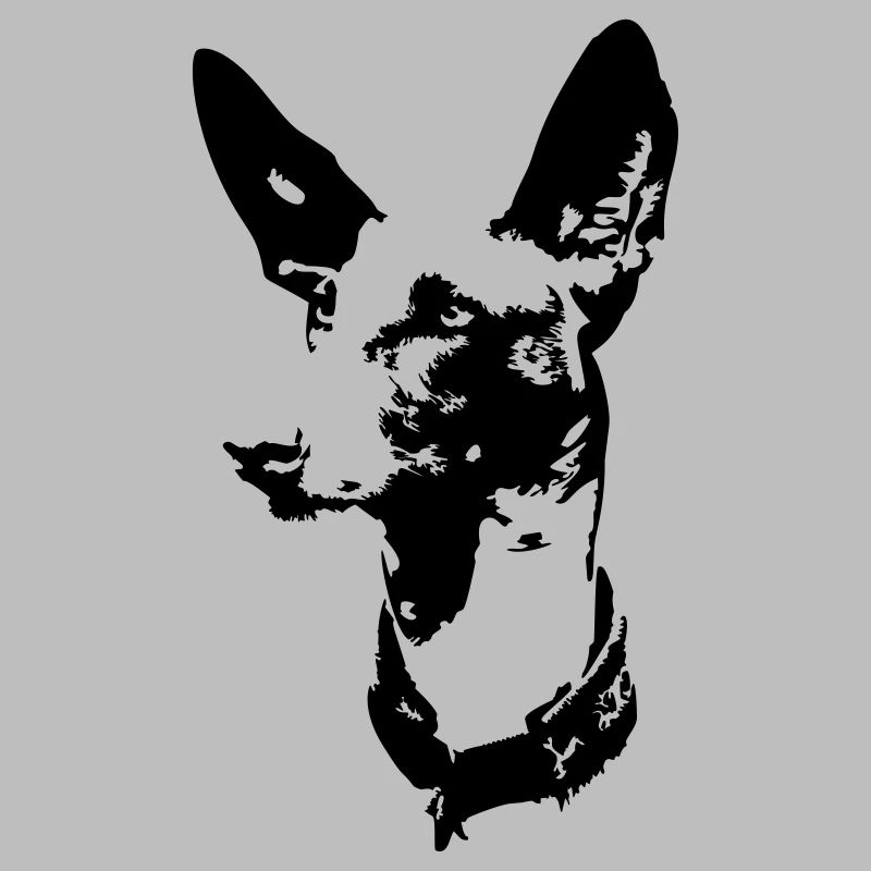 Podenco head