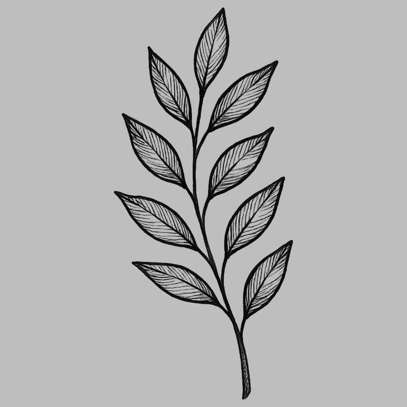 Black Leaves Gloss Pattern