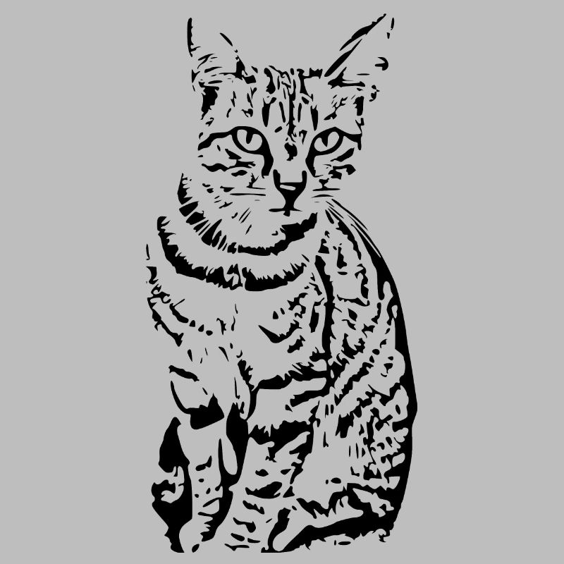 chat noir chat chaton doux cadeau de Noël