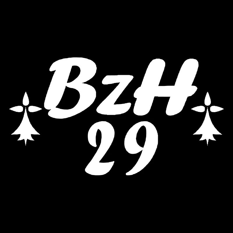 29 Bretagne BZH 2