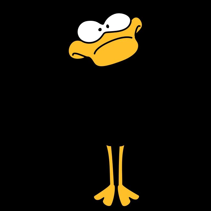 Funny Duck