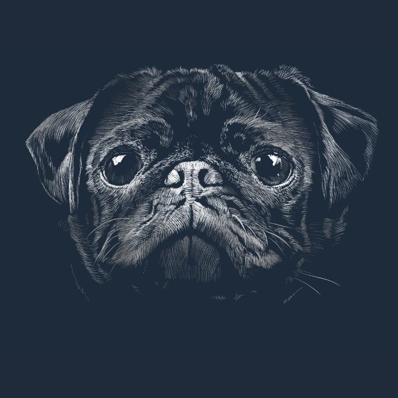 Mops