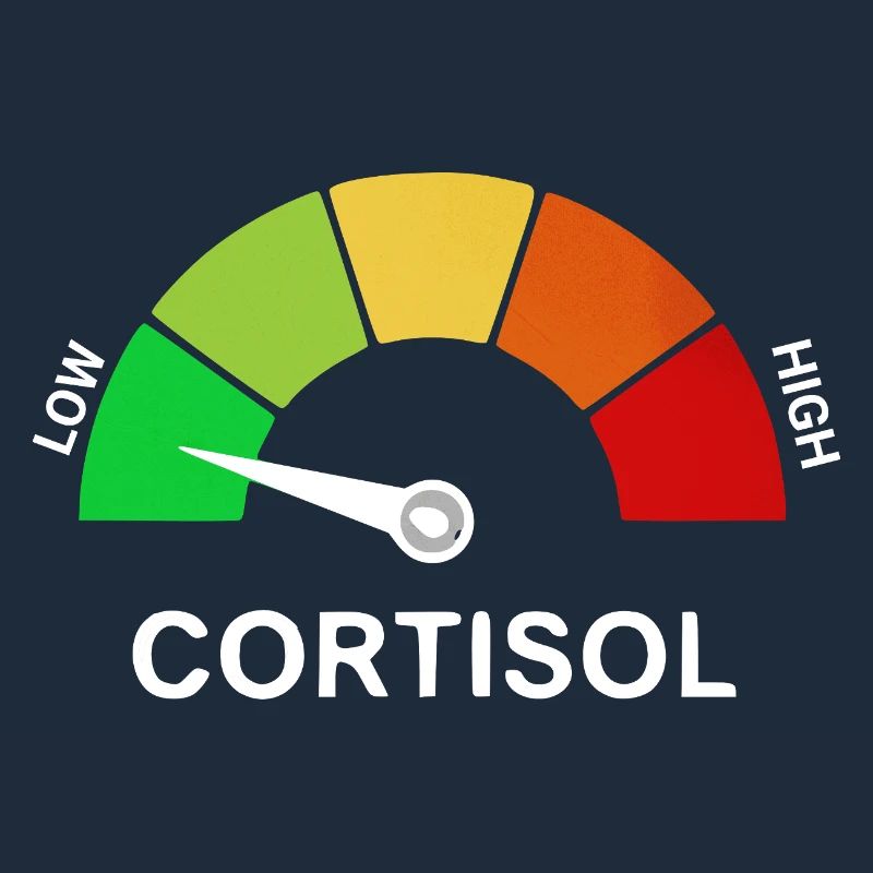 Échelle de cortisol bas