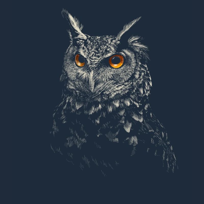 owl