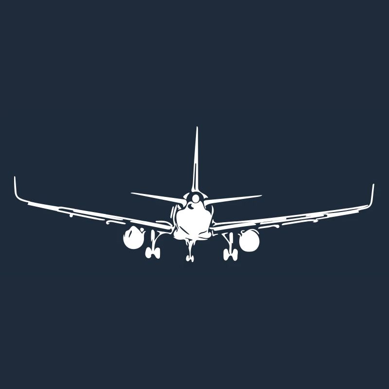 Vintage plane in approach