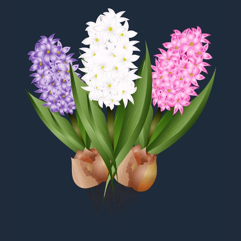 Hand-drawn hyacinths