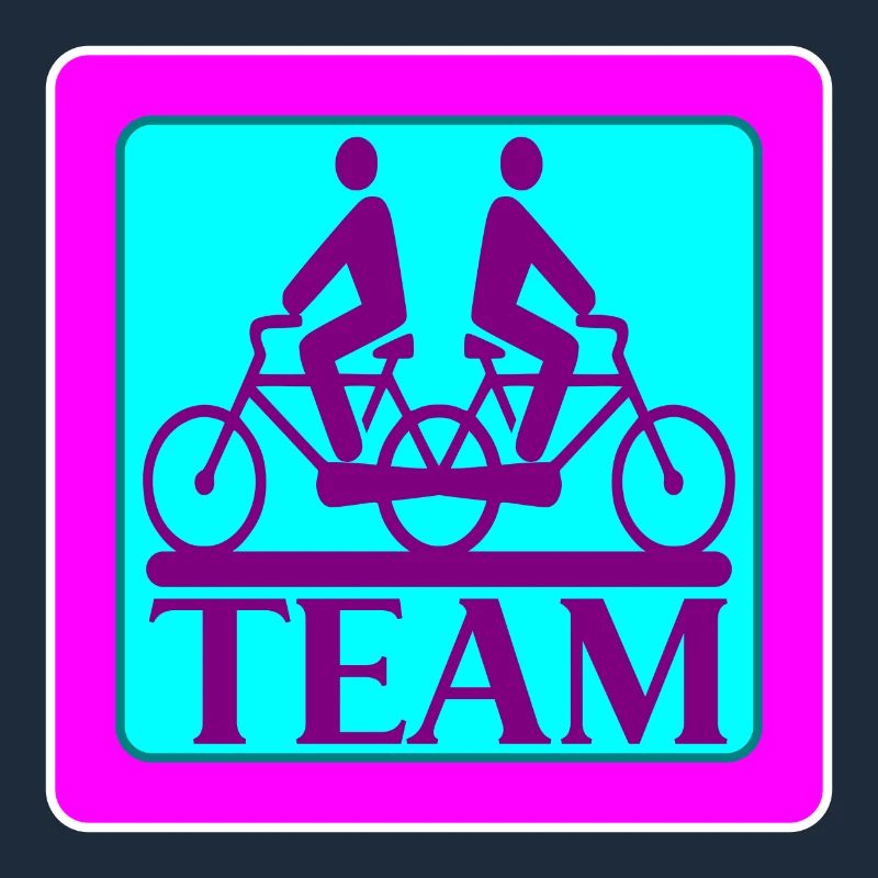 TEAM PROBLEMS - BICYCLE - STRATEGY