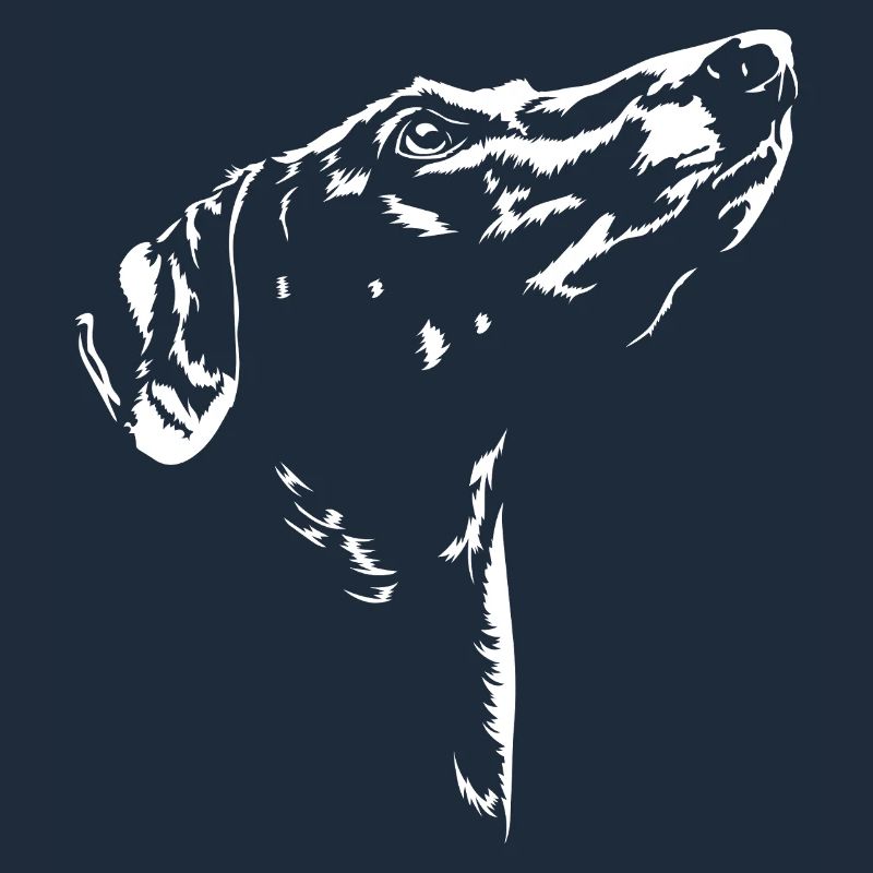 Azawakh Silhouette Windhunde Windhund Wilsigns