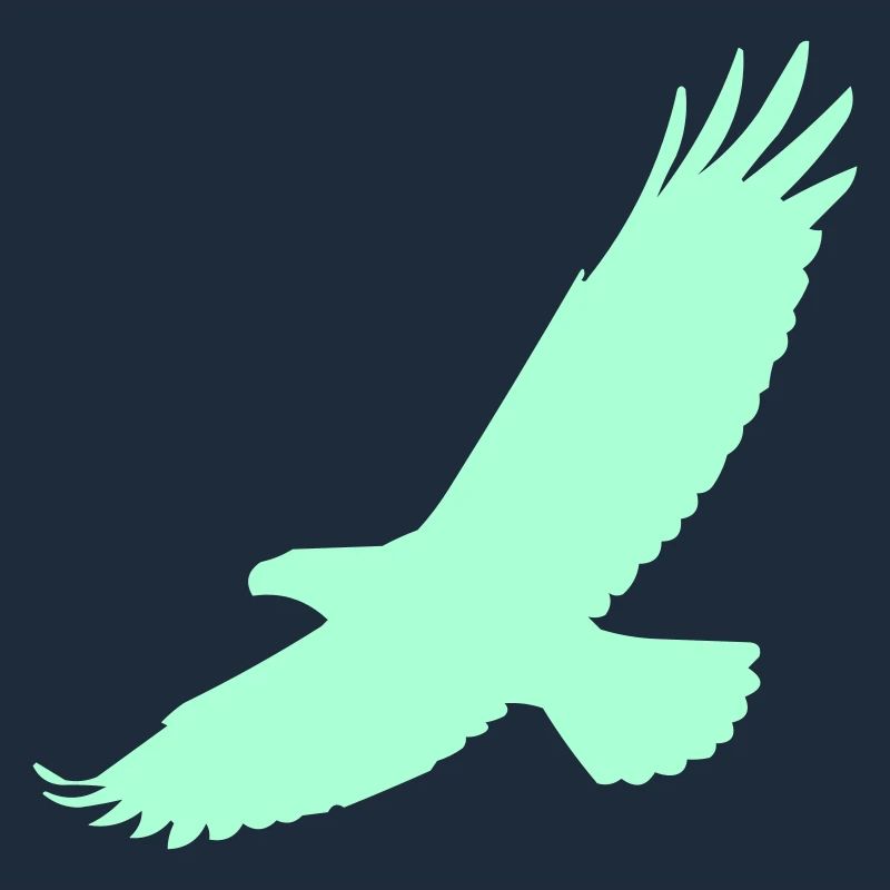 Falcon in flight