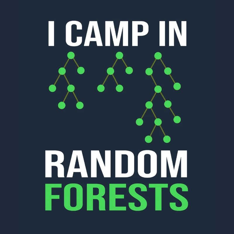 Programmeur Codeur GPT