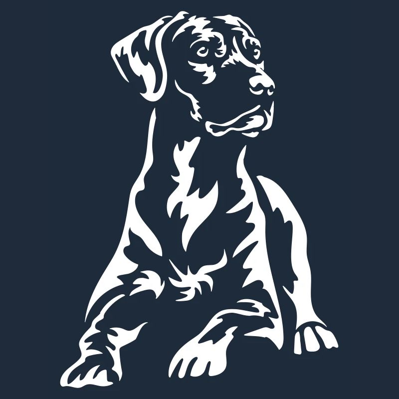 Rhodesian Ridgeback « Black Edition »