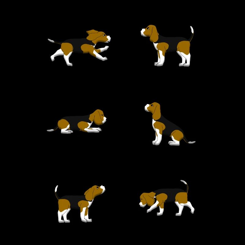 Beagle selection