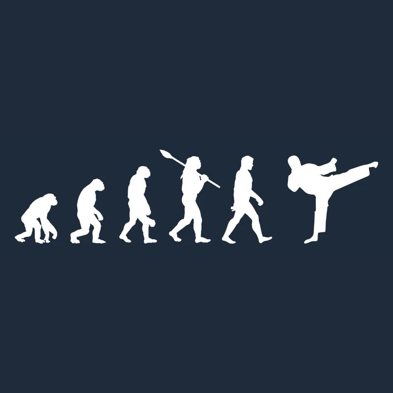 Taekwondo Evolution