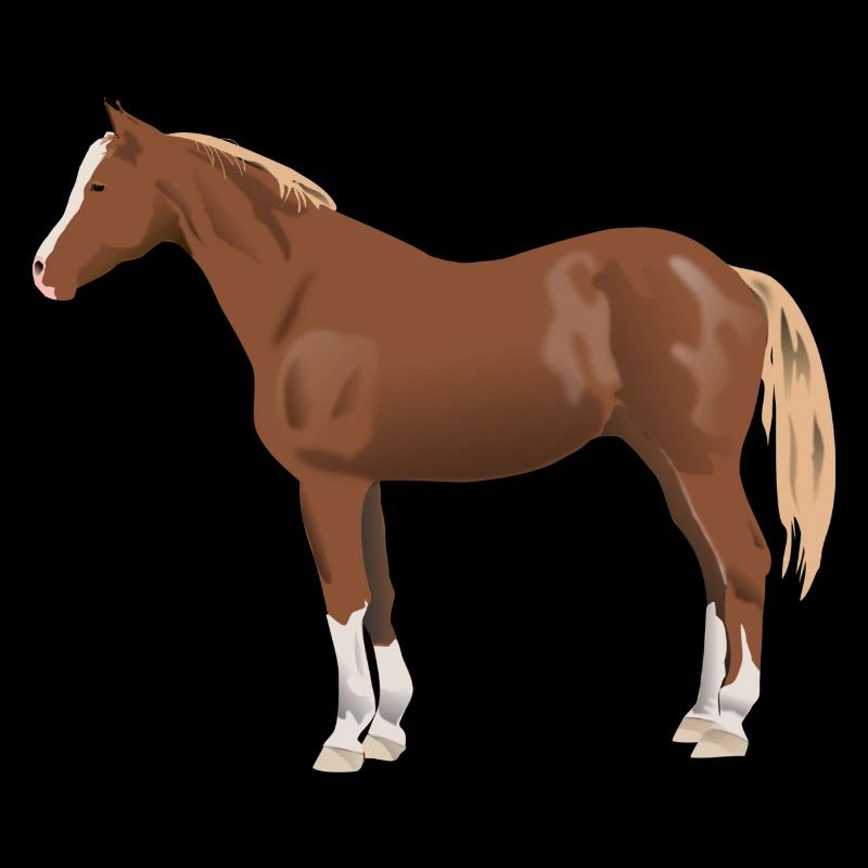 Pferd
