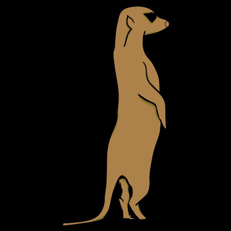 Erdmännchen