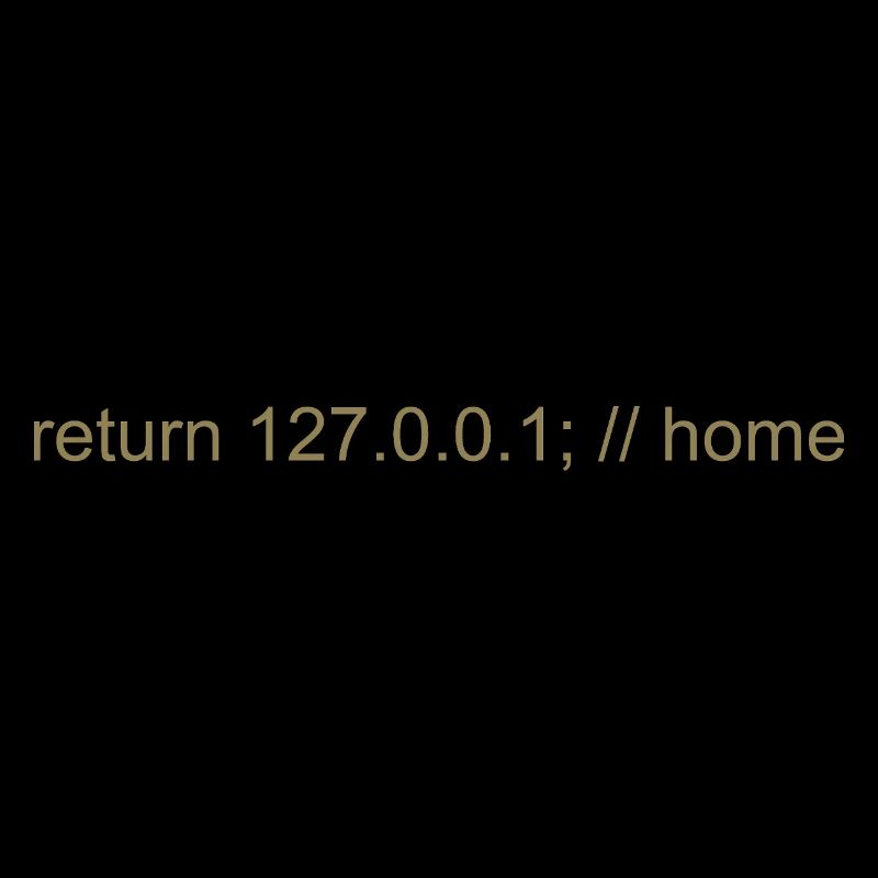 Programmer Nerd IT Joke Developer Home