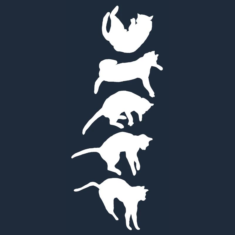 Aufrichtreflex der fallenden Katze