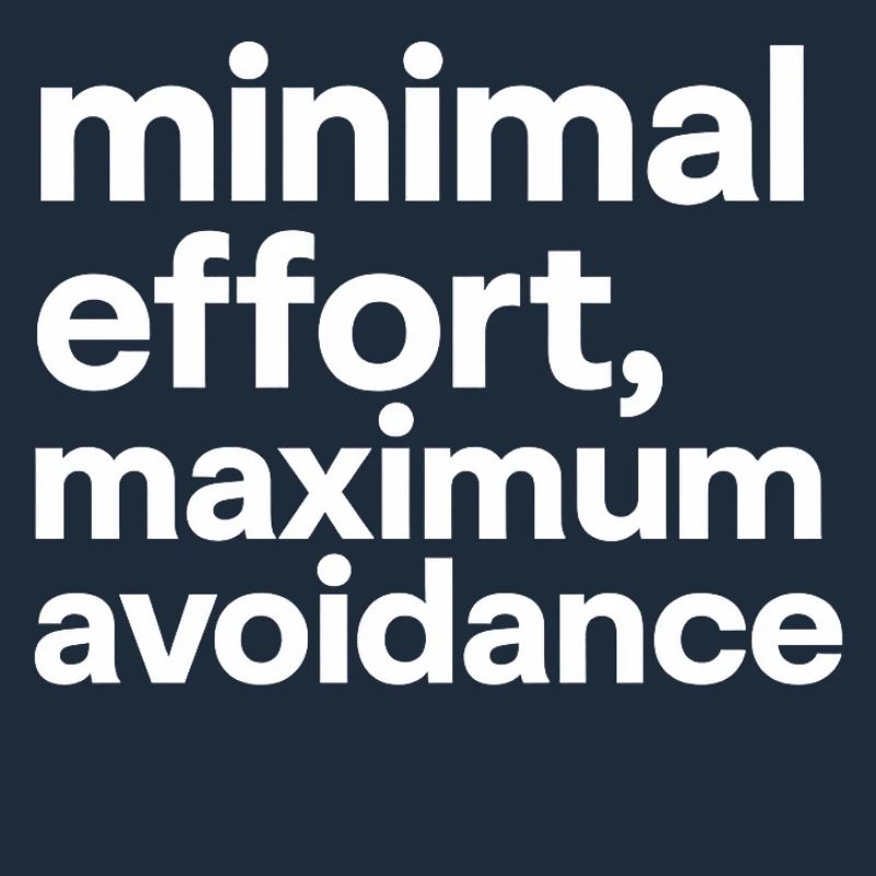 minimal effort maximum avoidance | Ironie, Minimal