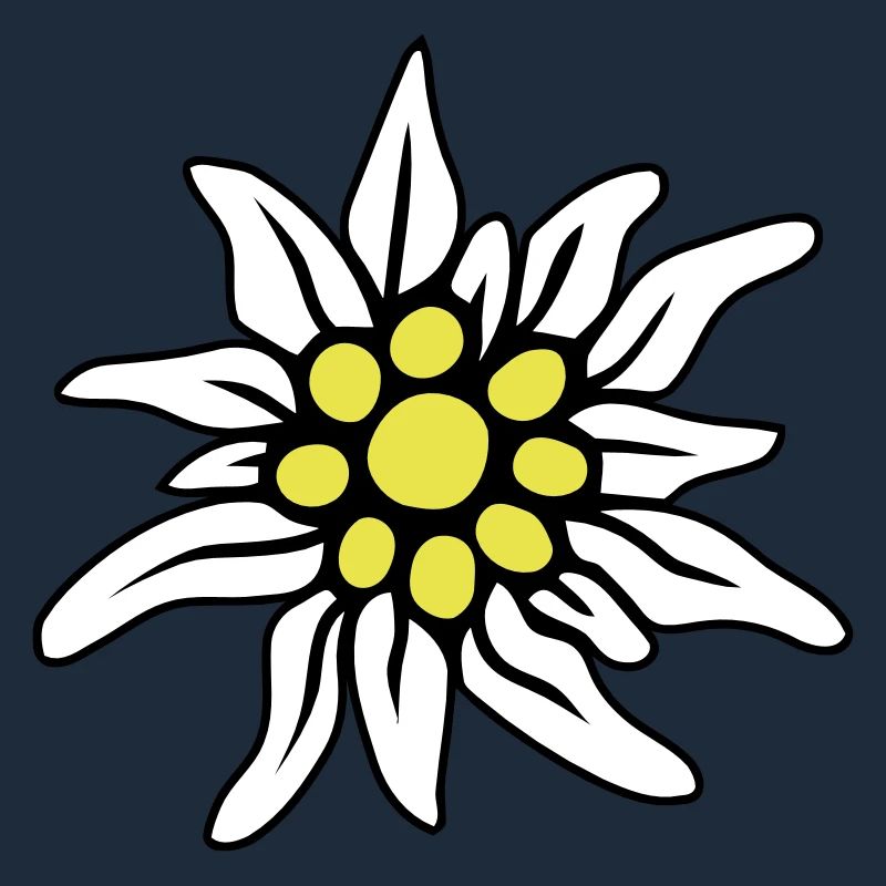 EDELWEISS BLÜTE