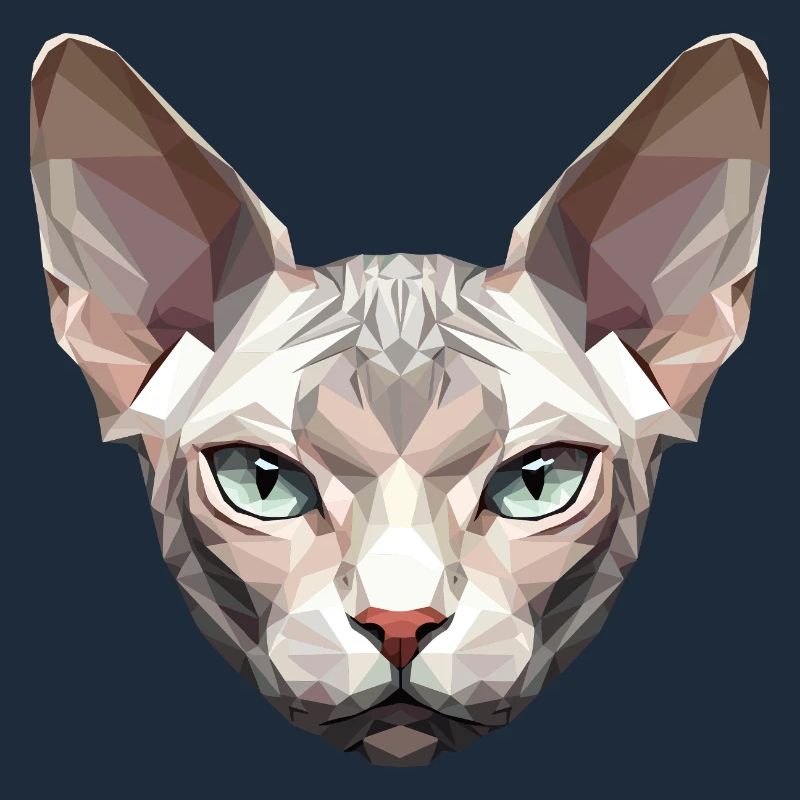 Sphynx Chat Sphynx Chat Chat Canadien Sphinx mignon