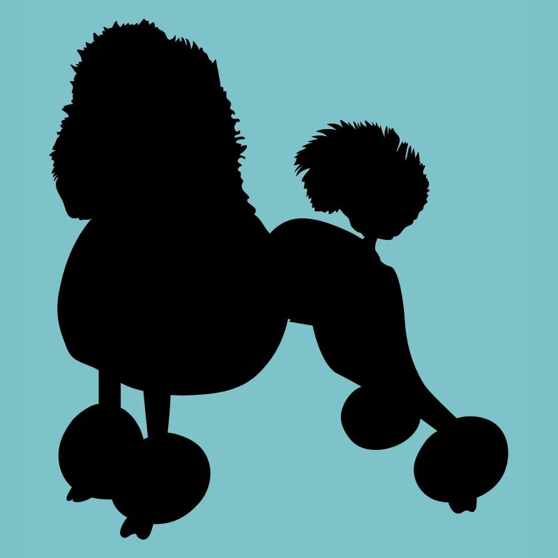 caniche