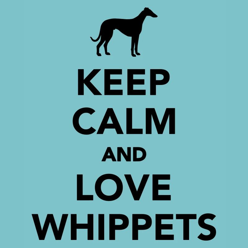 Whippet