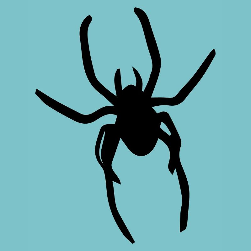 spider