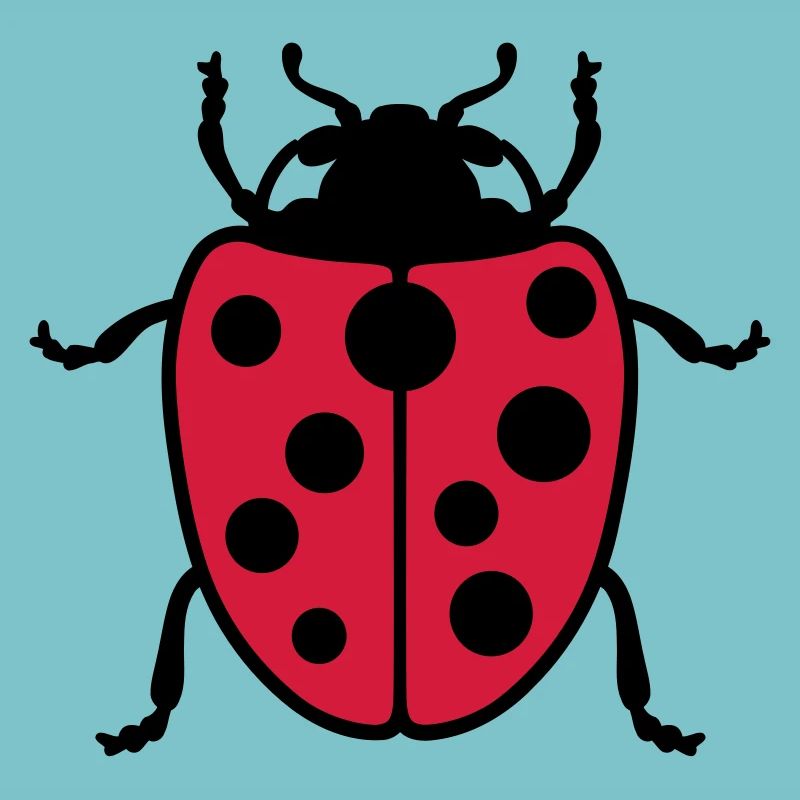 Ladybug