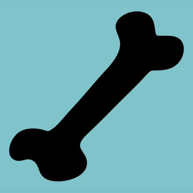 Knochen - Bone