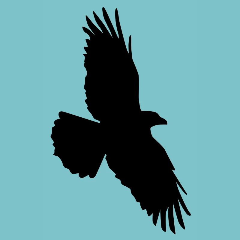 Rabenflug