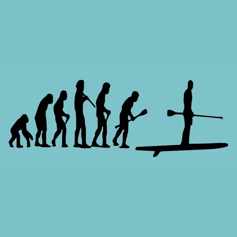 Paddle Evolution
