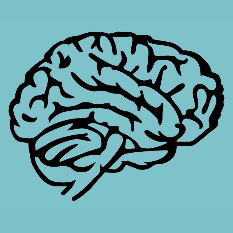 Brain