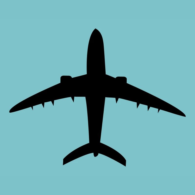 Flugzeug