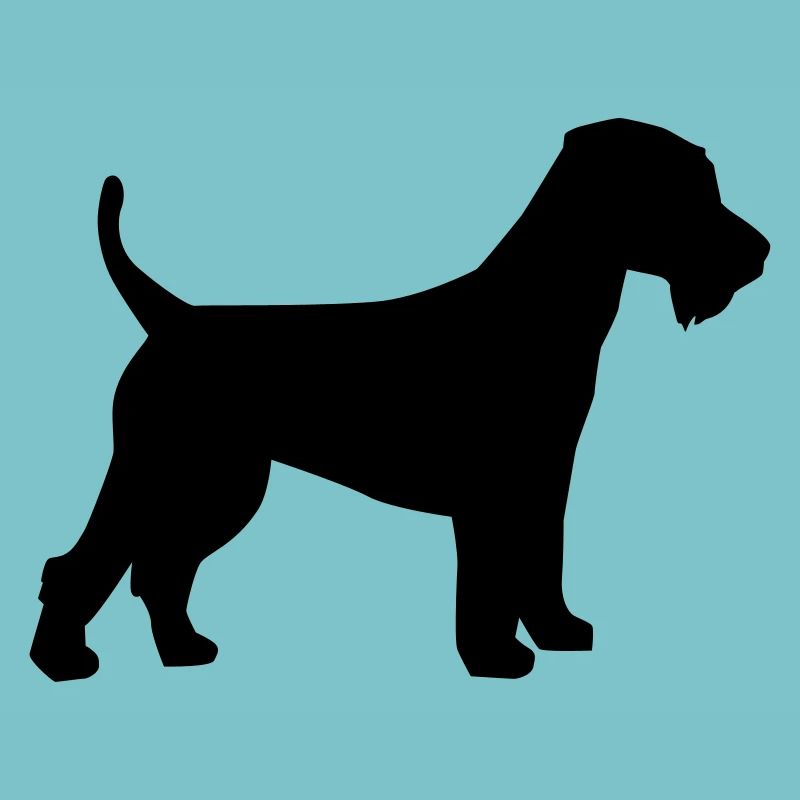 Welsh Terrier