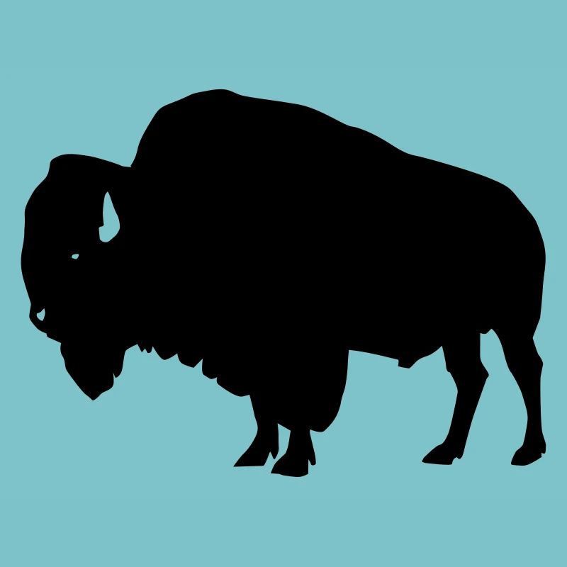 Bison