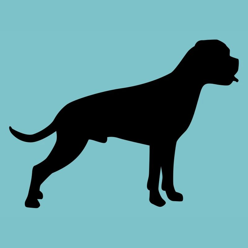 Boxer